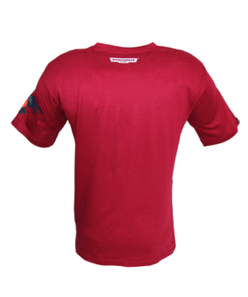 WH40K - Blood Ravens T-Shirt 2